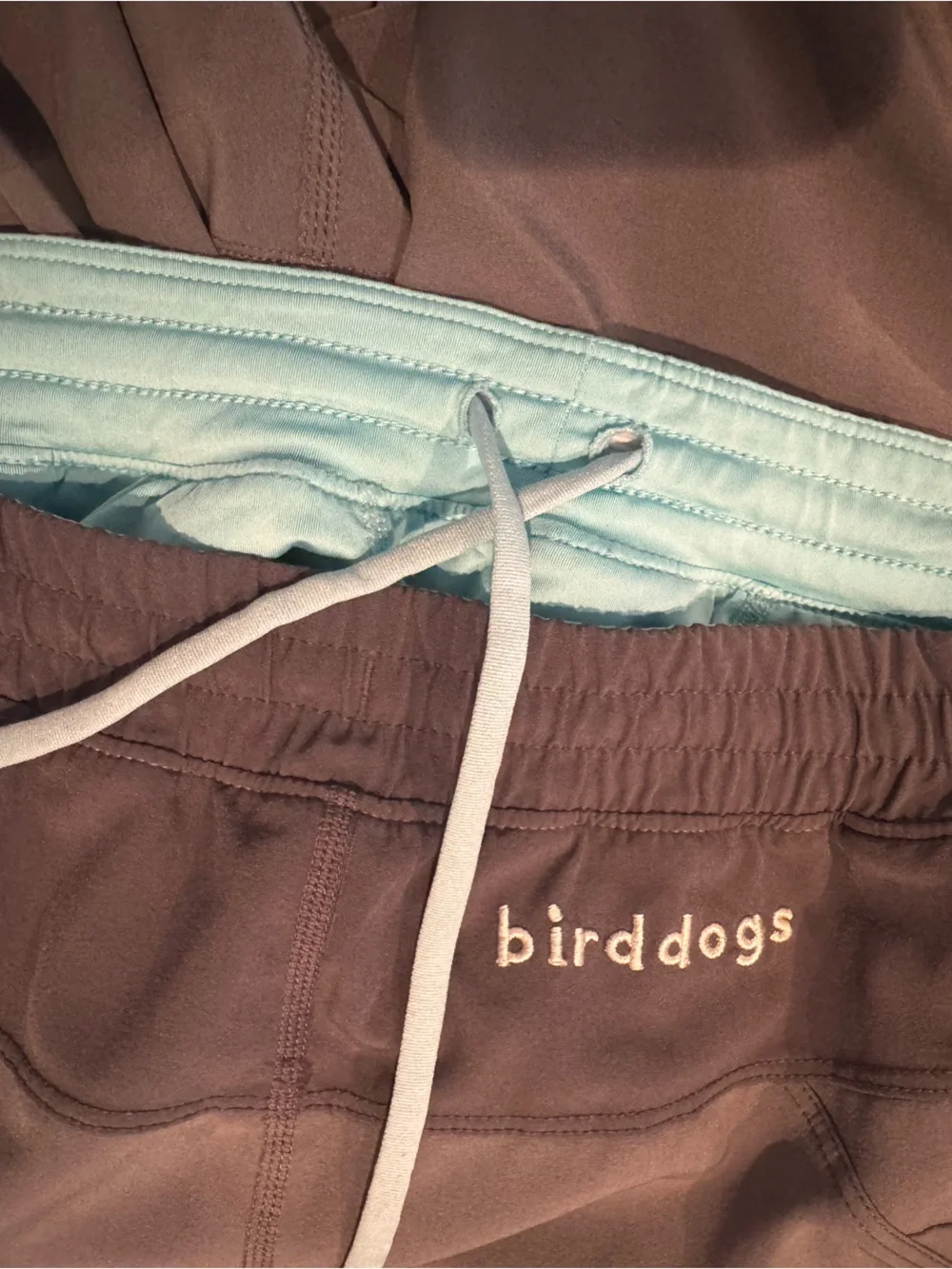 Birddogs Teal-Blue Lined Athletic Shorts - Picture 6 of 6